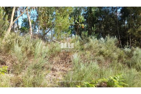 Helårsgrund i Gondomar, Porto, Gondomar - € 50.000 | Ref: MC09527 - foto 20