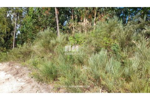 Helårsgrund i Gondomar, Porto, Gondomar - € 50.000 | Ref: MC09527 - foto 23