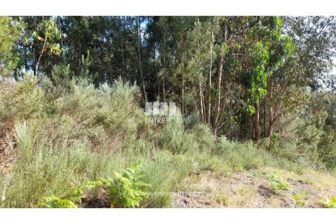 Helårsgrund i Gondomar, Porto, Gondomar - € 50.000 | Ref: MC09527 - foto 24