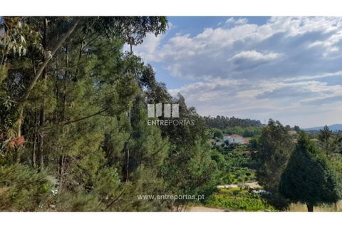 Helårsgrund i Gondomar, Porto, Gondomar - € 50.000 | Ref: MC09527 - foto 15