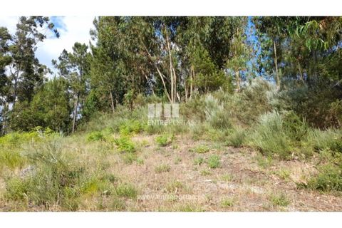 Helårsgrund i Gondomar, Porto, Gondomar - € 50.000 | Ref: MC09527 - foto 25