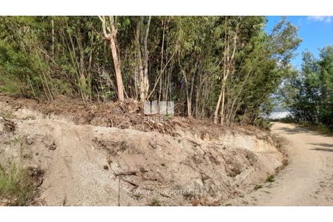 Helårsgrund i Gondomar, Porto, Gondomar - € 50.000 | Ref: MC09527 - foto 29
