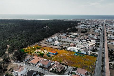 Helårsgrund i Ovar, Aveiro, Ovar - € 700.000 | Ref: TER_59 - foto 1