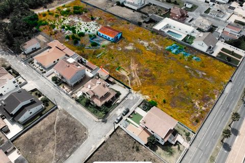 Helårsgrund i Ovar, Aveiro, Ovar - € 700.000 | Ref: TER_59 - foto 2