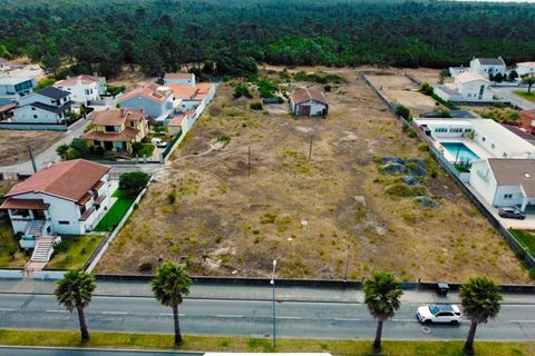 Helårsgrund i Ovar, Aveiro, Ovar - € 700.000 | Ref: TER_59 - foto 3