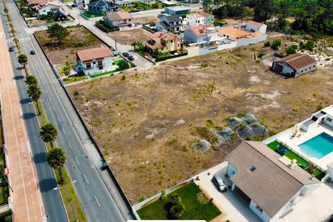 Helårsgrund i Ovar, Aveiro, Ovar - € 700.000 | Ref: TER_59 - foto 4
