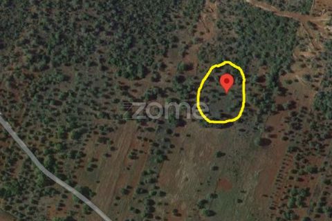 Helårsgrund i Benafim, Faro, Benafim - € 8.000 | Ref: ZMPT557840 - foto 5