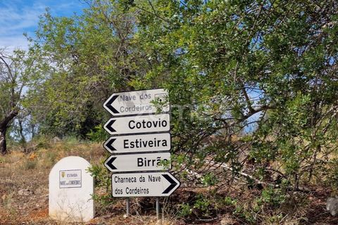 Helårsgrund i Benafim, Faro, Benafim - € 8.000 | Ref: ZMPT557840 - foto 7