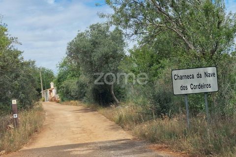 Helårsgrund i Benafim, Faro, Benafim - € 8.000 | Ref: ZMPT557840 - foto 9