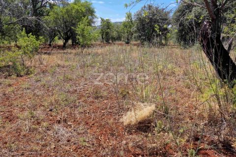 Helårsgrund i Benafim, Faro, Benafim - € 8.000 | Ref: ZMPT557840 - foto 10