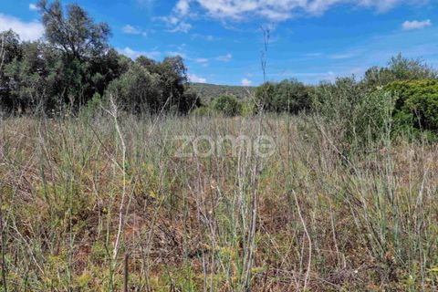 Helårsgrund i Benafim, Faro, Benafim - € 8.000 | Ref: ZMPT557840 - foto 11
