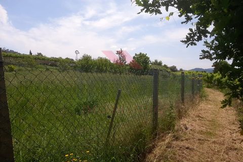 Helårsgrund i Ponte de Lima, Viana do Castelo, Ponte de Lima - € 46.000 | Ref: PTL-1118-JC-0523 - foto 2