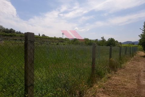 Helårsgrund i Ponte de Lima, Viana do Castelo, Ponte de Lima - € 46.000 | Ref: PTL-1118-JC-0523 - foto 4