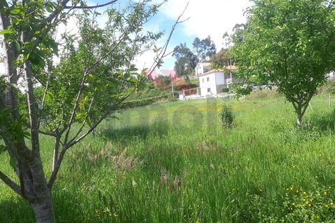 Helårsgrund i Ponte de Lima, Viana do Castelo, Ponte de Lima - € 46.000 | Ref: PTL-1118-JC-0523 - foto 5