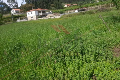 Helårsgrund i Ponte de Lima, Viana do Castelo, Ponte de Lima - € 46.000 | Ref: PTL-1118-JC-0523 - foto 6