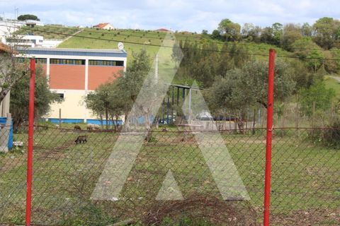 Helårsgrund i Parceiros e Azoia, Leiria, Parceiros e Azoia - € 75.000 | Ref: 1130764/23 LR - foto 3