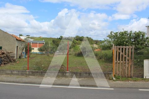 Helårsgrund i Parceiros e Azoia, Leiria, Parceiros e Azoia - € 75.000 | Ref: 1130764/23 LR - foto 4