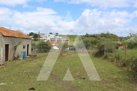Helårsgrund i Parceiros e Azoia, Leiria, Parceiros e Azoia - € 75.000 | Ref: 1130764/23 LR - foto 5