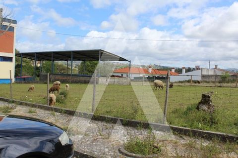 Helårsgrund i Parceiros e Azoia, Leiria, Parceiros e Azoia - € 75.000 | Ref: 1130764/23 LR - foto 6