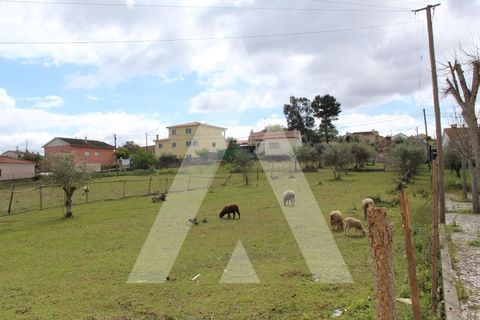 Helårsgrund i Parceiros e Azoia, Leiria, Parceiros e Azoia - € 75.000 | Ref: 1130764/23 LR - foto 7
