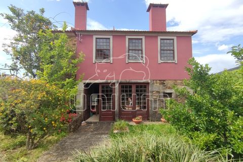 Farm i Venade e Azevedo, Viana do Castelo, Venade e Azevedo - € 630.000 | Ref: R4643 - foto 5