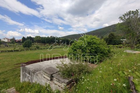 Farm i Venade e Azevedo, Viana do Castelo, Venade e Azevedo - € 630.000 | Ref: R4643 - foto 8