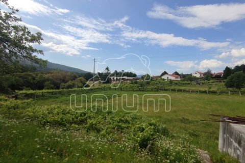 Farm i Venade e Azevedo, Viana do Castelo, Venade e Azevedo - € 630.000 | Ref: R4643 - foto 9
