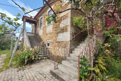 Farm i Venade e Azevedo, Viana do Castelo, Venade e Azevedo - € 630.000 | Ref: R4643 - foto 12