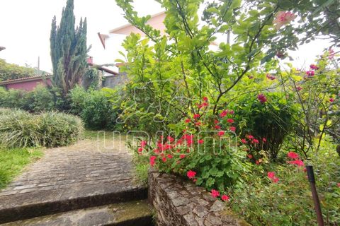Farm i Venade e Azevedo, Viana do Castelo, Venade e Azevedo - € 630.000 | Ref: R4643 - foto 13