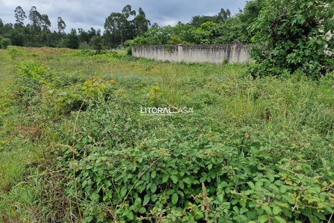 Helårsgrund i Aveiro, Aveiro, Aveiro - € 40.000 | Ref: VEN-3677 - foto 11