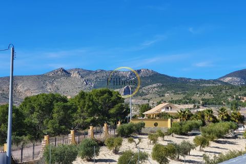 Finca i Lorca, Murcia, Lorca - € 350.000 | Ref: 791 - foto 25