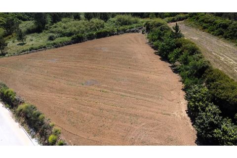 Helårsgrund i Nazare, Leiria, Nazare - € 289.000 | Ref: TER_745 - foto 6