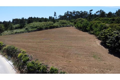 Helårsgrund i Nazare, Leiria, Nazare - € 289.000 | Ref: TER_745 - foto 8