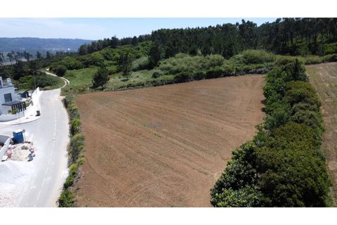 Helårsgrund i Nazare, Leiria, Nazare - € 289.000 | Ref: TER_745 - foto 10