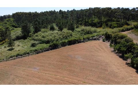 Helårsgrund i Nazare, Leiria, Nazare - € 289.000 | Ref: TER_745 - foto 14