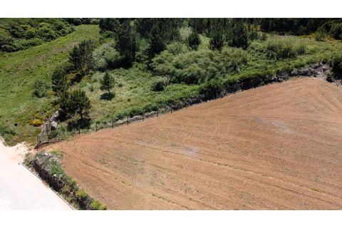 Helårsgrund i Nazare, Leiria, Nazare - € 289.000 | Ref: TER_745 - foto 12
