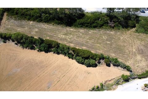 Helårsgrund i Nazare, Leiria, Nazare - € 289.000 | Ref: TER_745 - foto 17