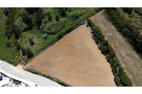 Helårsgrund i Nazare, Leiria, Nazare - € 289.000 | Ref: TER_745 - foto 19
