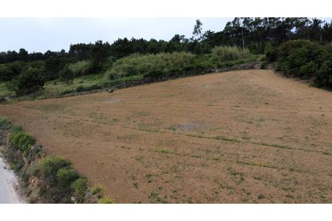 Helårsgrund i Nazare, Leiria, Nazare - € 289.000 | Ref: TER_745 - foto 23