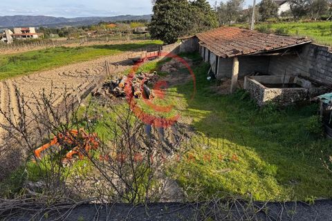 Villa i Chaves, Vila Real, Chaves - € 87.998 | Ref: CM01-0103 - foto 2