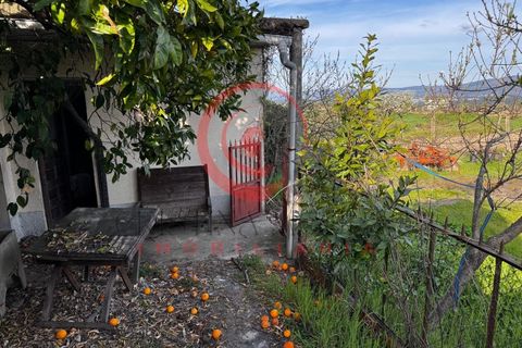 Villa i Chaves, Vila Real, Chaves - € 87.998 | Ref: CM01-0103 - foto 5