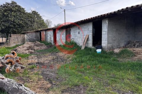 Villa i Chaves, Vila Real, Chaves - € 87.998 | Ref: CM01-0103 - foto 6