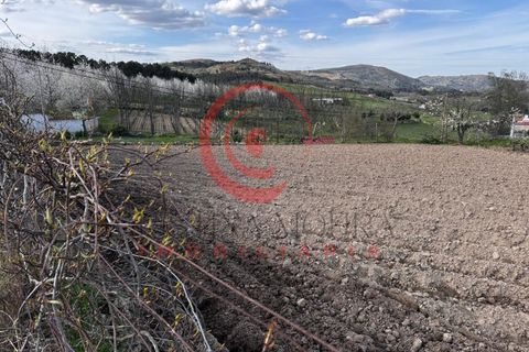 Villa i Chaves, Vila Real, Chaves - € 87.998 | Ref: CM01-0103 - foto 15