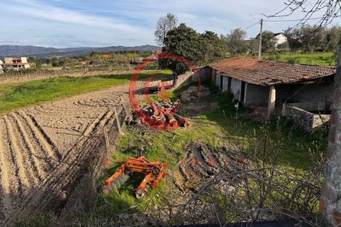 Villa i Chaves, Vila Real, Chaves - € 87.998 | Ref: CM01-0103 - foto 16
