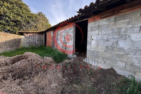 Villa i Chaves, Vila Real, Chaves - € 87.998 | Ref: CM01-0103 - foto 20
