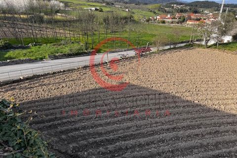 Villa i Chaves, Vila Real, Chaves - € 87.998 | Ref: CM01-0103 - foto 28