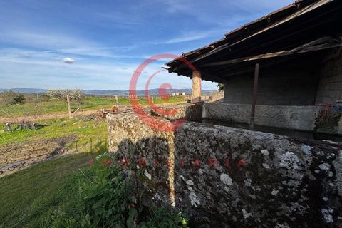 Villa i Chaves, Vila Real, Chaves - € 87.998 | Ref: CM01-0103 - foto 29