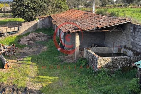 Villa i Chaves, Vila Real, Chaves - € 87.998 | Ref: CM01-0103 - foto 30