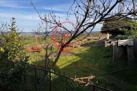 Villa i Chaves, Vila Real, Chaves - € 87.998 | Ref: CM01-0103 - foto 36