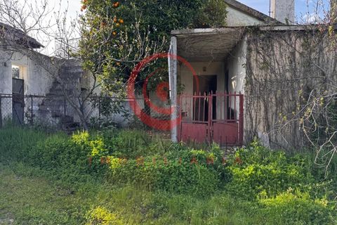 Villa i Chaves, Vila Real, Chaves - € 87.998 | Ref: CM01-0103 - foto 39